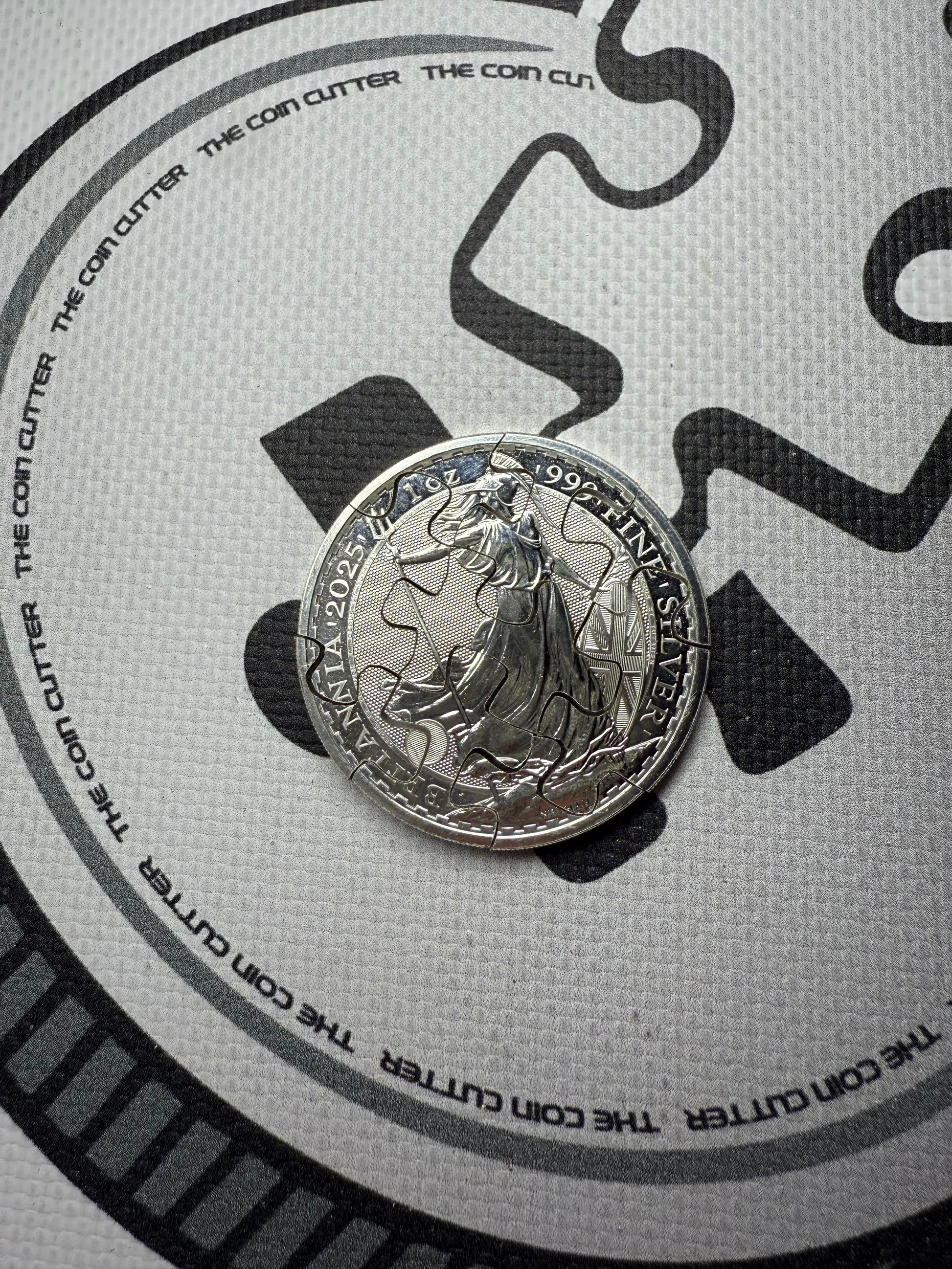SILVER BRITANNIA 1 0z JIGSAW